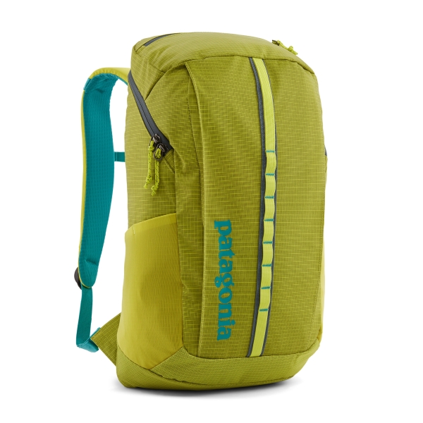 Patagonia Black Hole Pack 25L PHGN